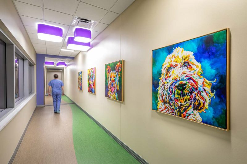 Colorful Pendant Lighting for Children's Hospital Hallway